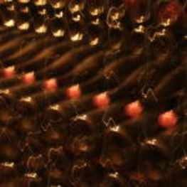 Champagne Resting in the Jacquinot Cellars